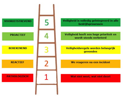 Safety Culture Ladder SCL
