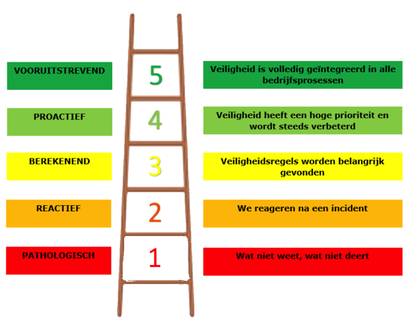 Safety Culture Ladder SCL